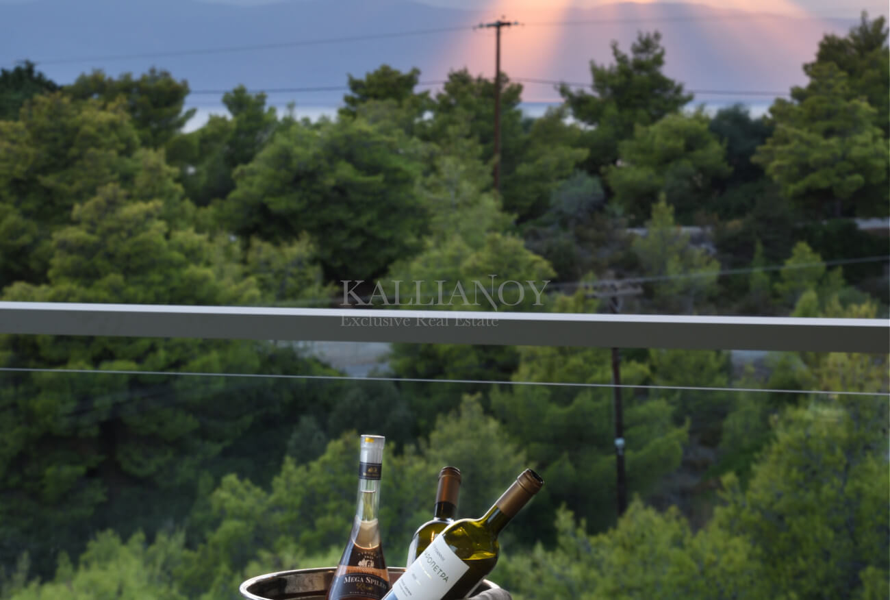 Villa ETHEREA (66)