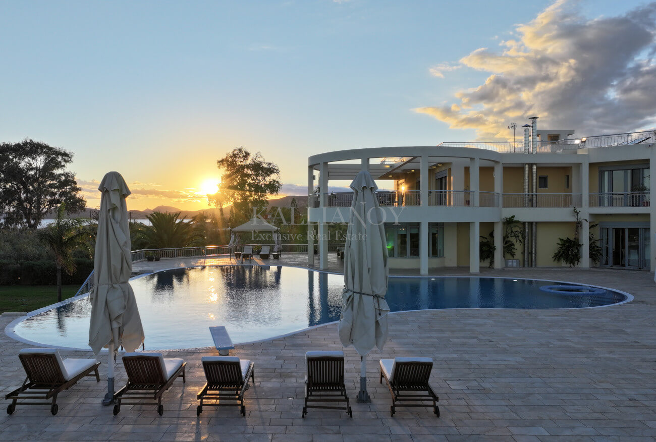 Villa Palm