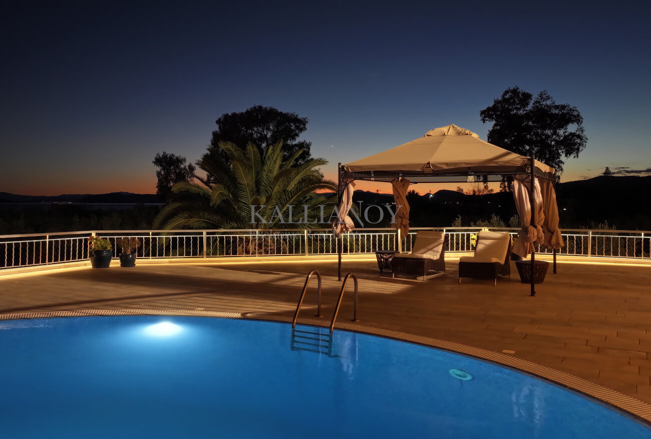 Villa Palm