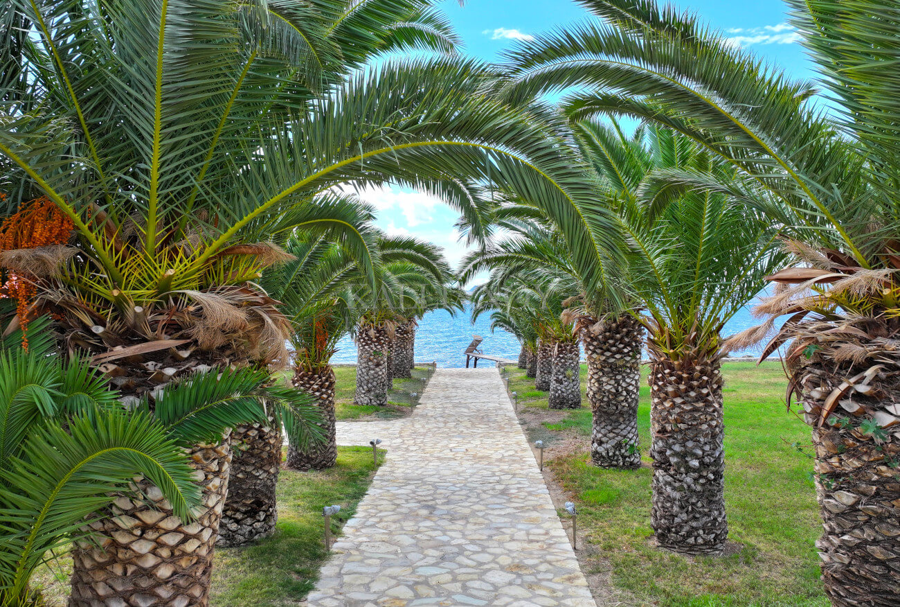 Villa Palm