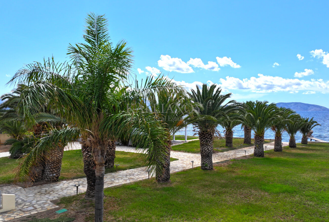 Villa Palm