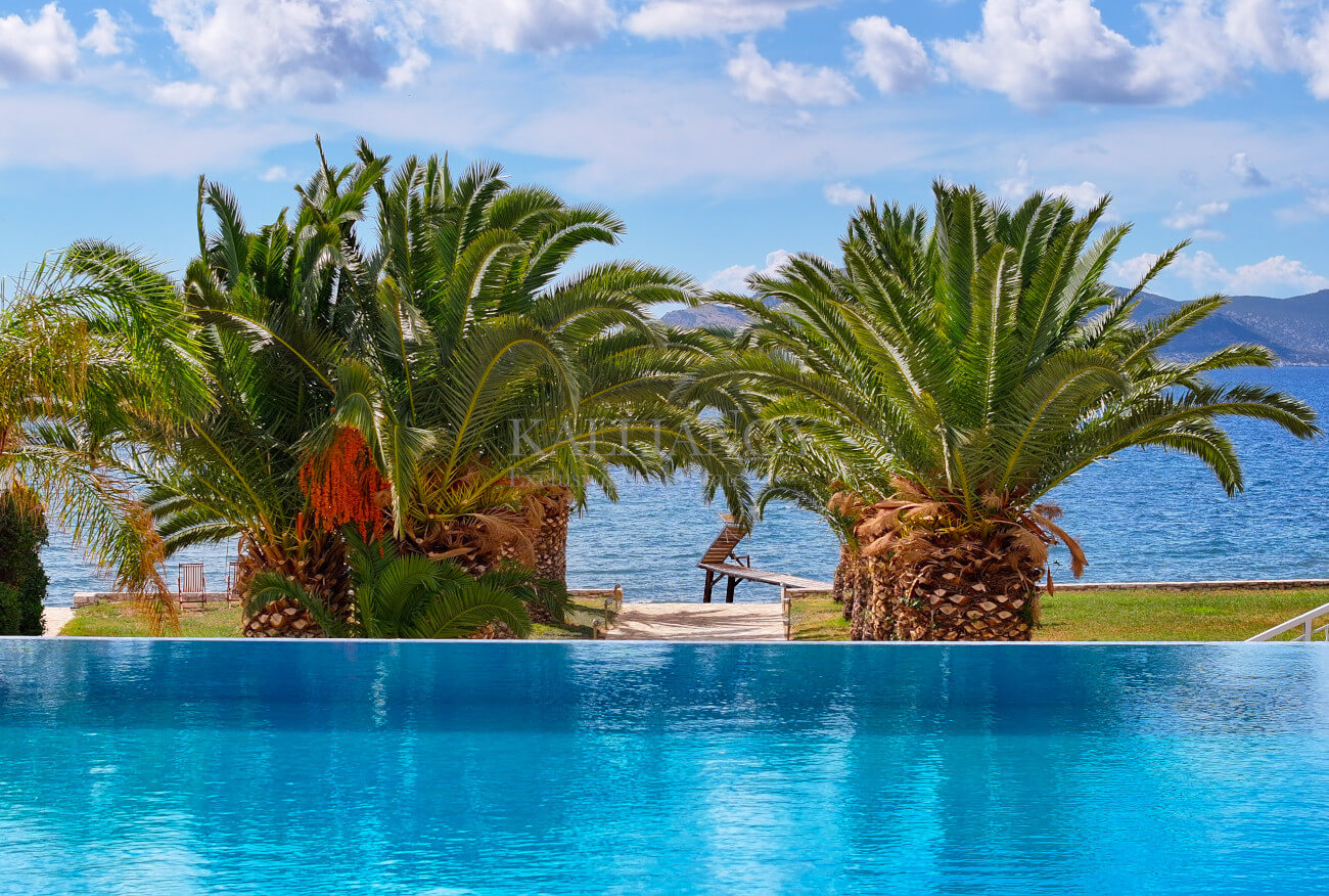 Villa Palm
