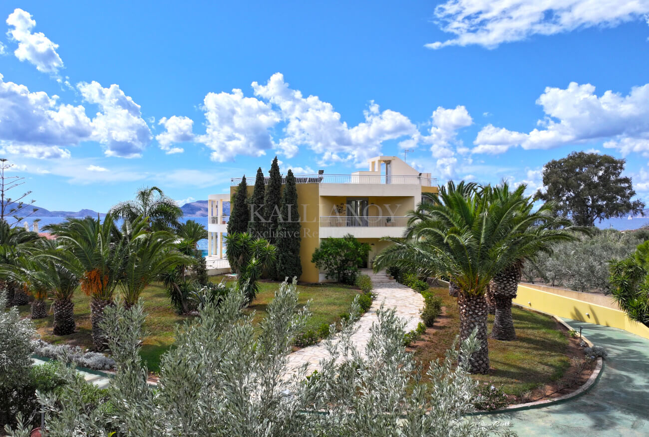 Villa Palm