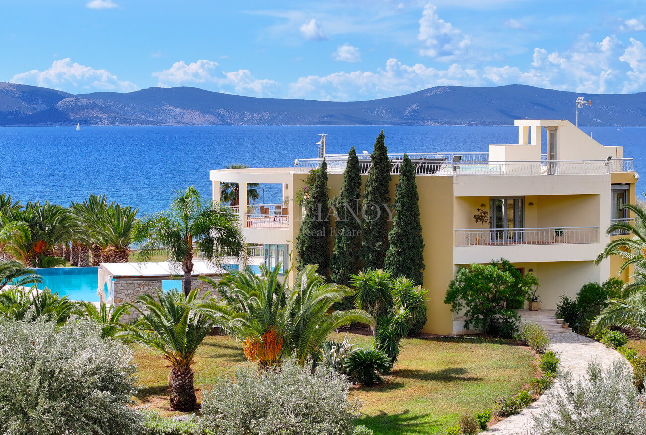 Villa Palm