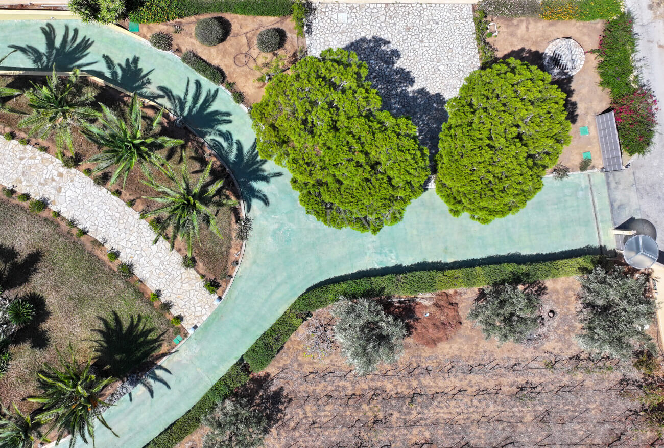 Villa Palm