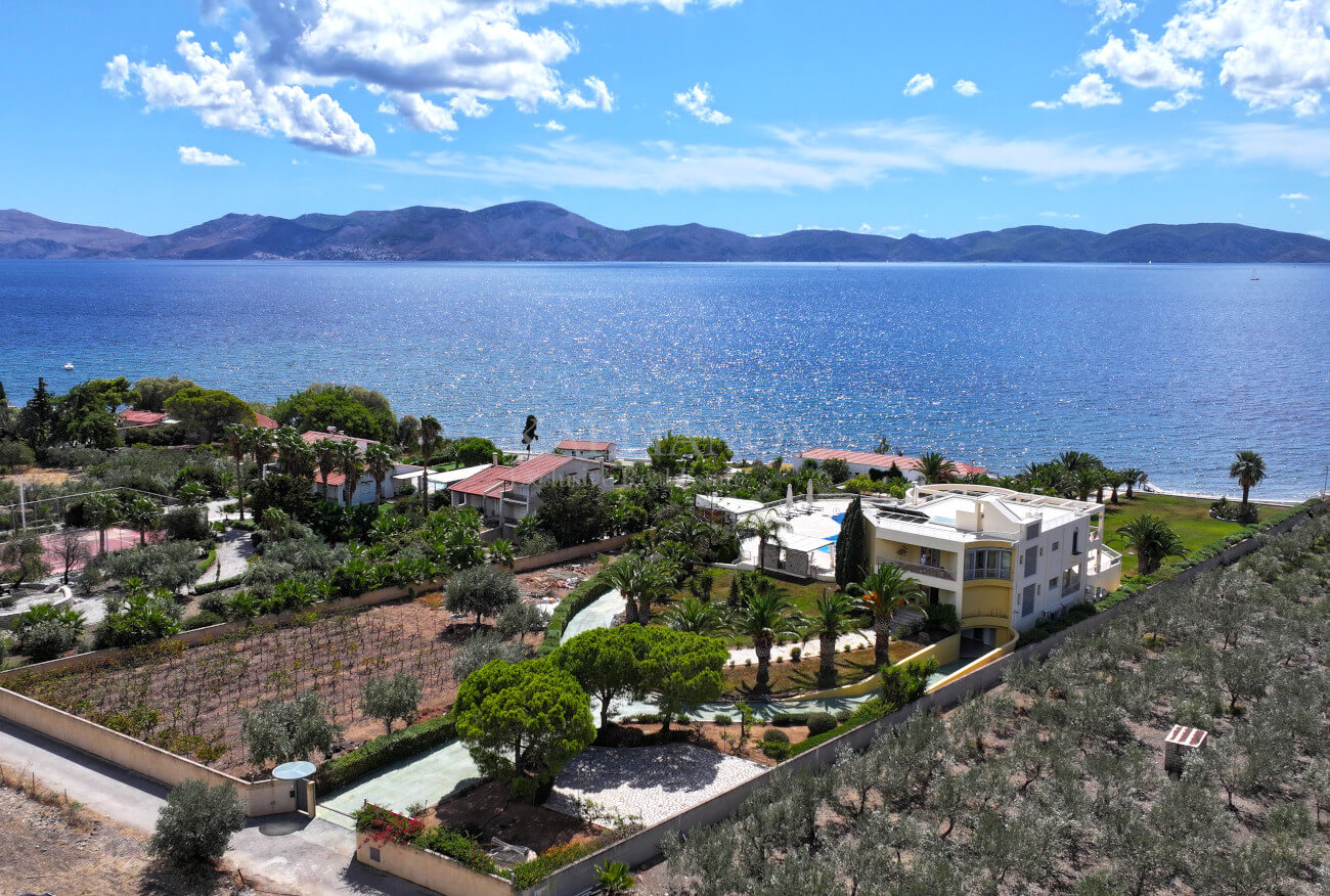 Villa Palm