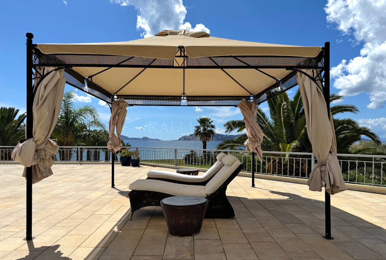Villa Palm