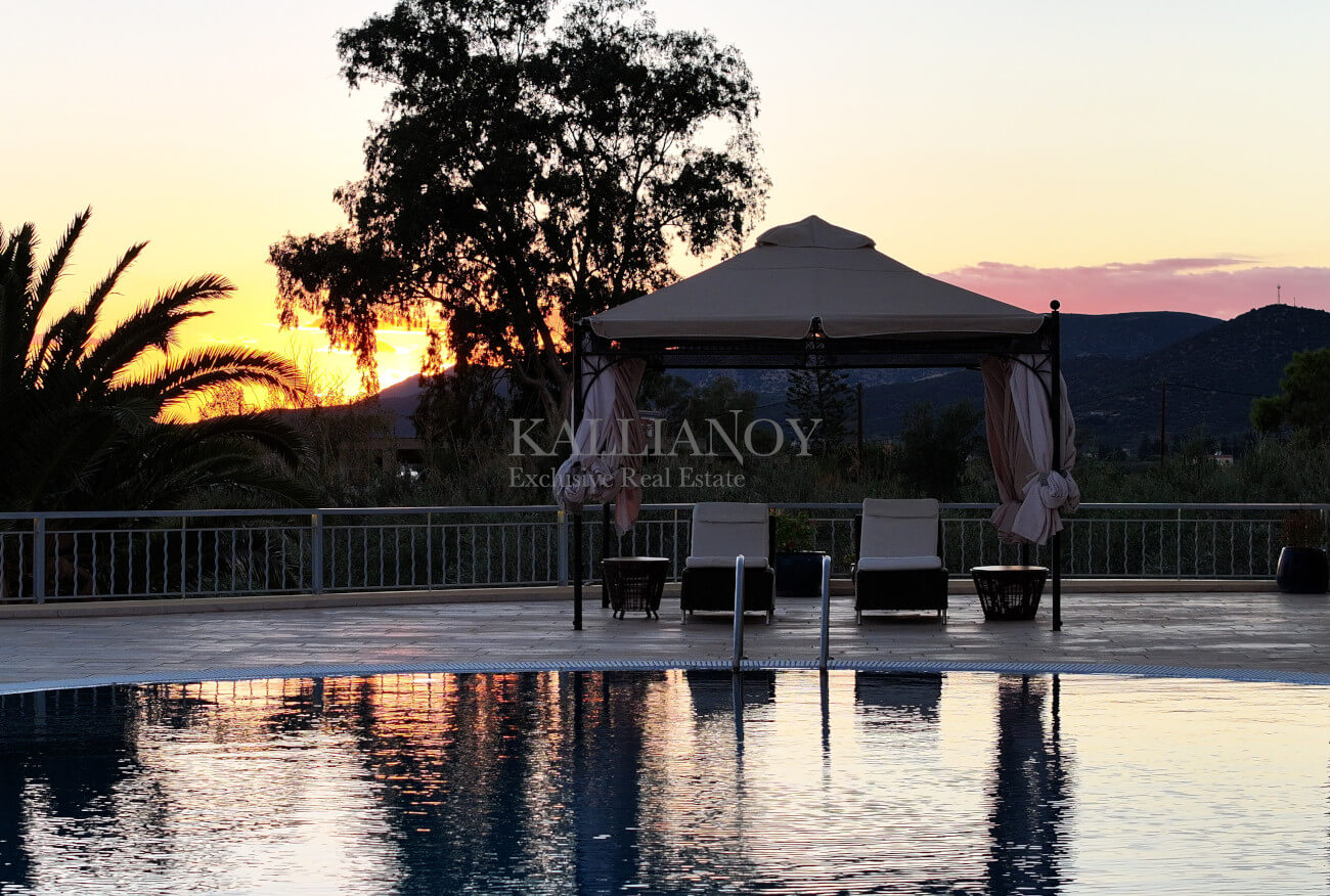 Villa Palm