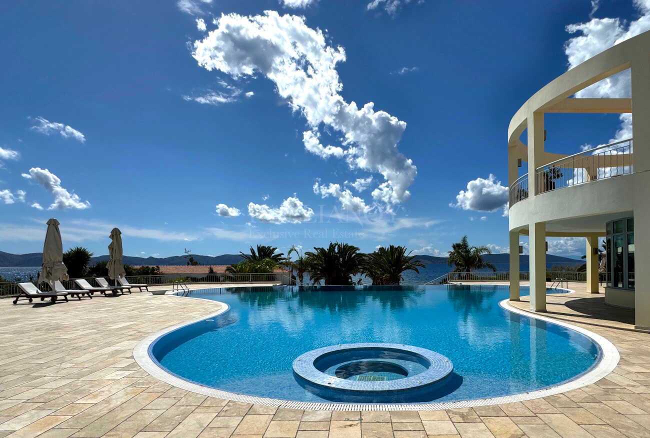 Villa Palm