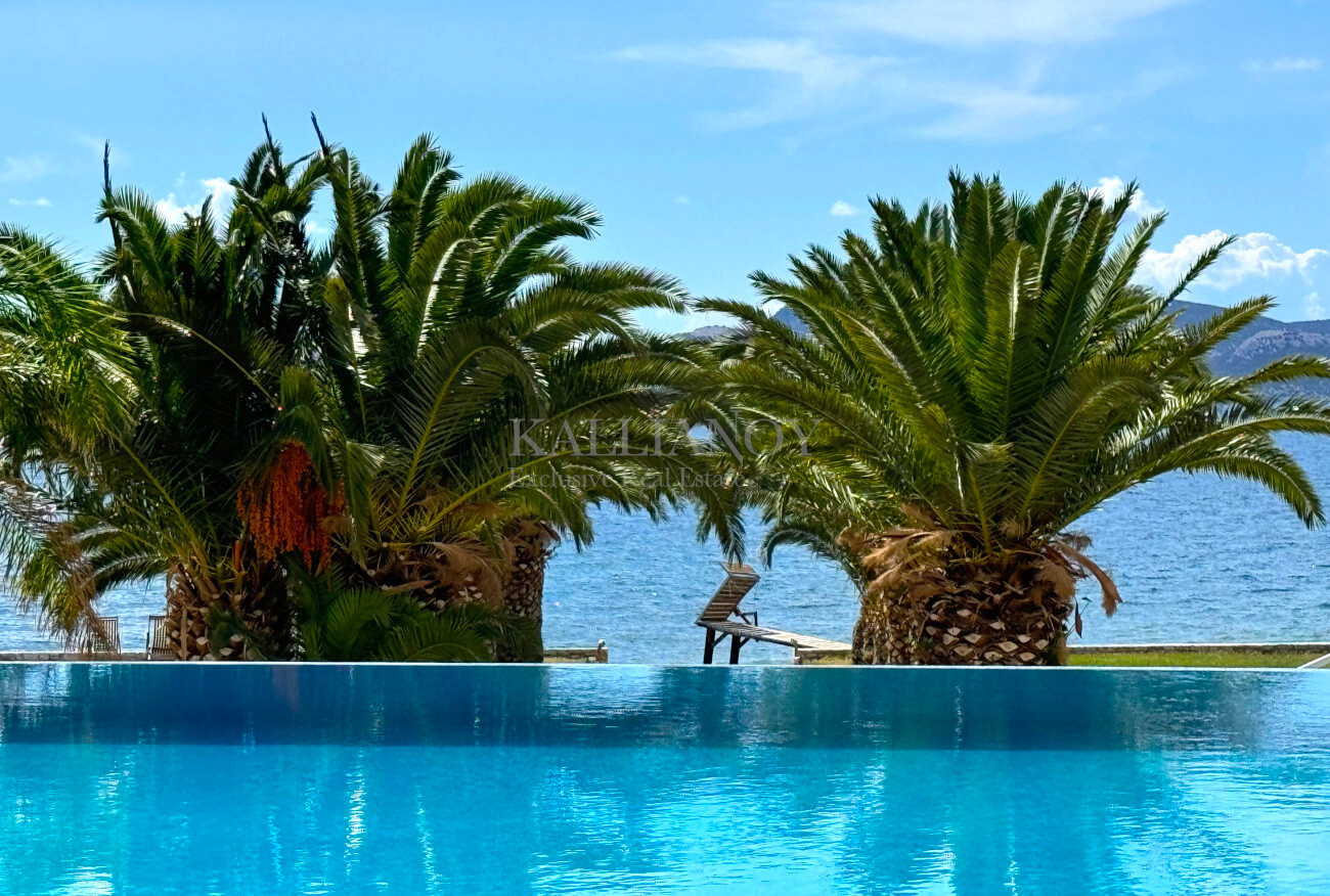 Villa Palm