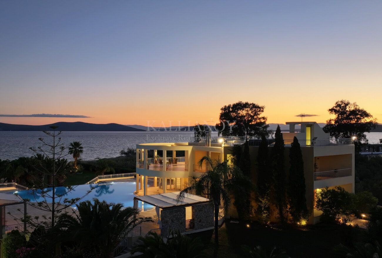 Villa Palm
