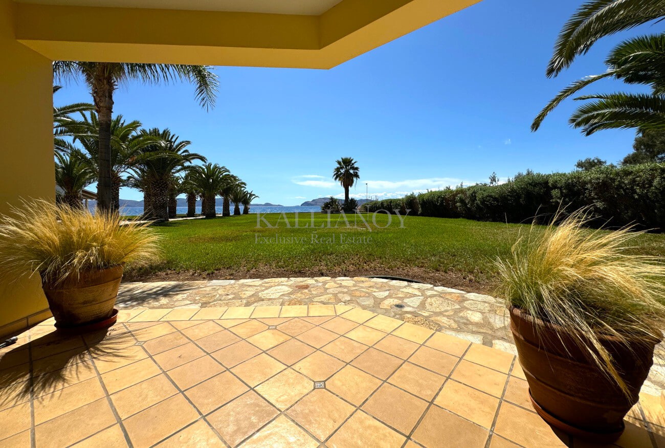 Villa Palm