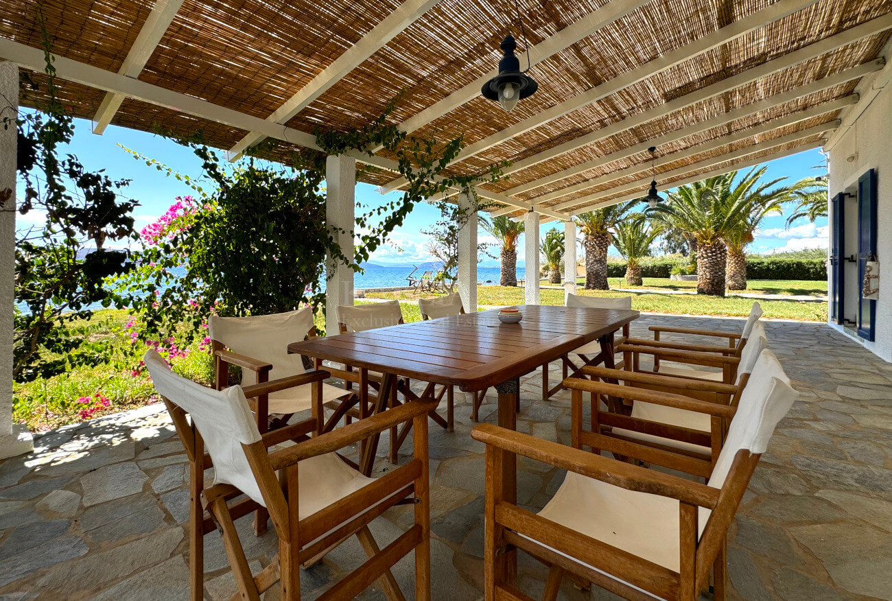 Villa Palm