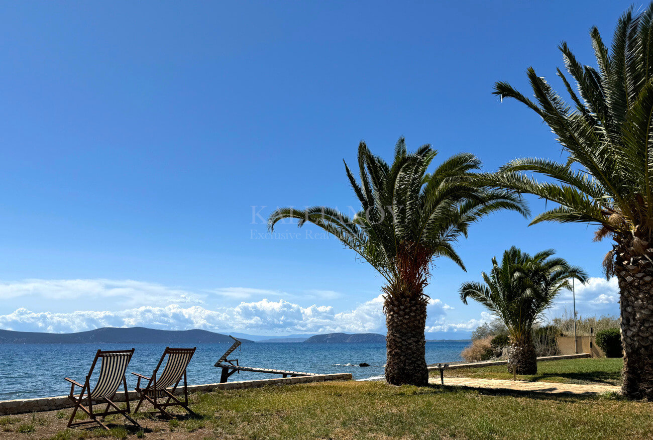 Villa Palm