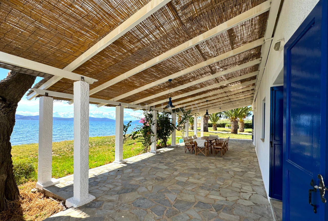 Villa Palm