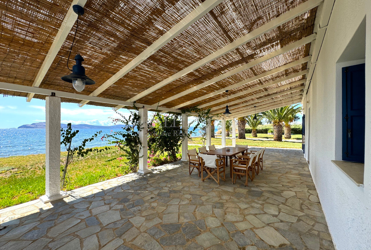 Villa Palm