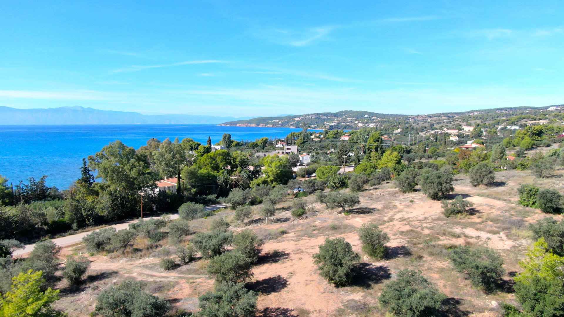 Elaia Estate