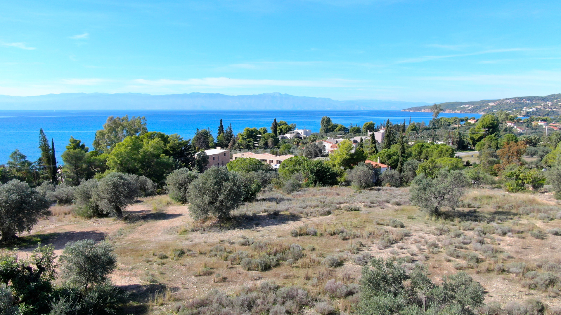 Elaia Estate
