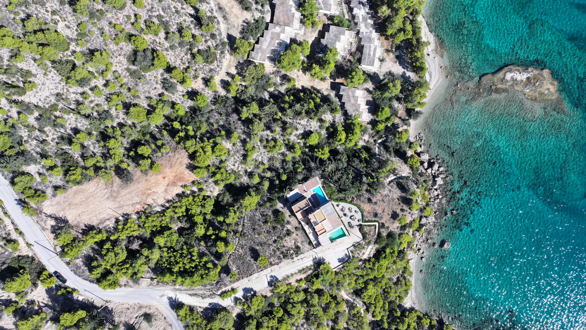 Dream Estate